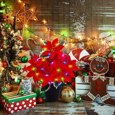 زينة نباتات البونسيتة في أصيص عيد الميلاد مضاءة مسبقًا زهرة البونسيتة الصناعية ذات 12 رأسًا - زهور البونسيتة الصناعية المضيئة بإضاءة LED لتزيين طاولة المنزل هدية عيد الميلاد (أحمر، 14.2 بوصة) in Saudi Arabia
