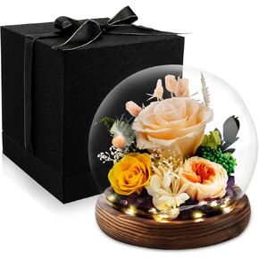 KDM Preserved Roses Gifts for Women Mom Grandma Friend,Long-Lasting Real Flowers in Glass Dome with LED Strip,for Mothers Day Valentines Christmas Thanksgiving （Champagne Austin Yellow Rose）