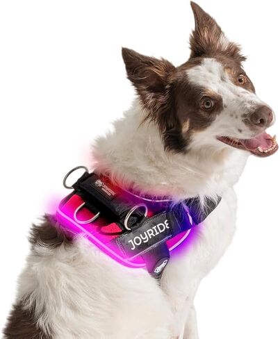 سرج Joyride Harness LED المضيء للكلاب 2.0 - تصميم في انتظار الحصول على براءة اختراع، 3 أوضاع LED، إضاءة نابضة بالحياة قابلة لإعادة الشحن، منطقة بطاقة اسم قابلة للتخصيص، وزر تشغيل/إيقاف مريح لتعزيز سلامة الحيوانات الأليفة in Saudi Arabia