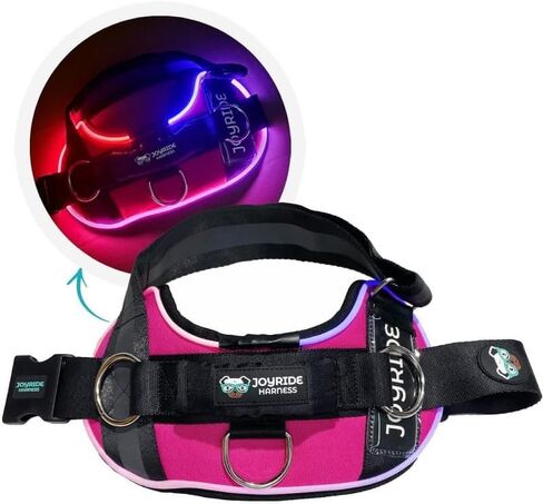 سرج Joyride Harness LED المضيء للكلاب 2.0 - تصميم في انتظار الحصول على براءة اختراع، 3 أوضاع LED، إضاءة نابضة بالحياة قابلة لإعادة الشحن، منطقة بطاقة اسم قابلة للتخصيص، وزر تشغيل/إيقاف مريح لتعزيز سلامة الحيوانات الأليفة in Saudi Arabia