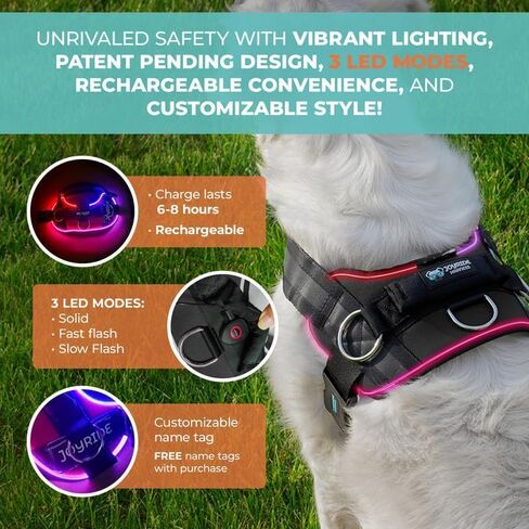 سرج Joyride Harness LED المضيء للكلاب 2.0 - تصميم في انتظار الحصول على براءة اختراع، 3 أوضاع LED، إضاءة نابضة بالحياة قابلة لإعادة الشحن، منطقة بطاقة اسم قابلة للتخصيص، وزر تشغيل/إيقاف مريح لتعزيز سلامة الحيوانات الأليفة in Saudi Arabia