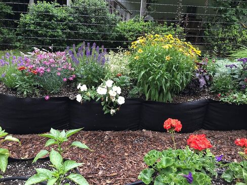 12206 Long Fabric Raised Bed, 6 Foot, Black in Saudi Arabia