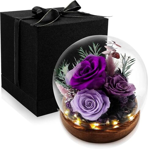 KDM Preserved Roses Gifts for Women Mom Grandma Friend,Long-Lasting Real Flowers in Glass Dome with LED Strip,for Mothers Day Valentines Christmas Thanksgiving （Champagne Austin Yellow Rose） in Saudi Arabia