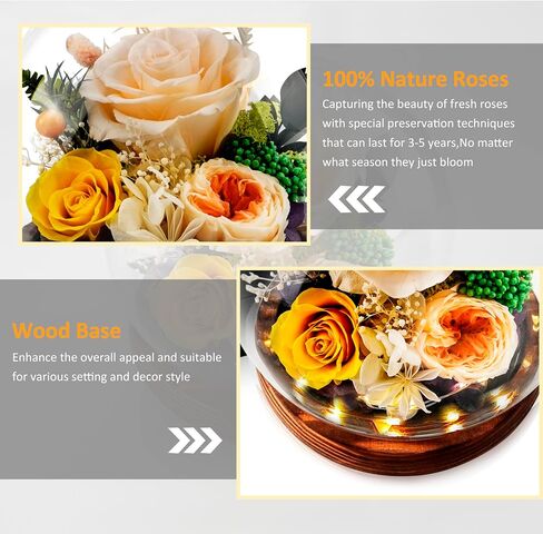 KDM Preserved Roses Gifts for Women Mom Grandma Friend,Long-Lasting Real Flowers in Glass Dome with LED Strip,for Mothers Day Valentines Christmas Thanksgiving （Champagne Austin Yellow Rose） in Saudi Arabia