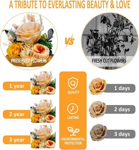 KDM Preserved Roses Gifts for Women Mom Grandma Friend,Long-Lasting Real Flowers in Glass Dome with LED Strip,for Mothers Day Valentines Christmas Thanksgiving （Champagne Austin Yellow Rose） in Saudi Arabia