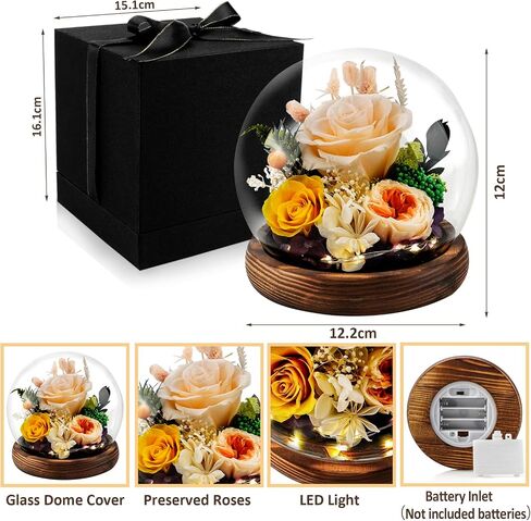 KDM Preserved Roses Gifts for Women Mom Grandma Friend,Long-Lasting Real Flowers in Glass Dome with LED Strip,for Mothers Day Valentines Christmas Thanksgiving （Champagne Austin Yellow Rose） in Saudi Arabia