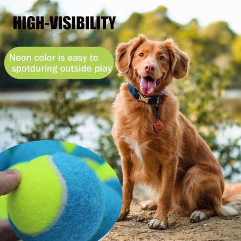 Magicorange Tennis Balls, 12 Pack Tennis Balls for Dogs, Pet Dog Playing Balls, Come with Mesh Bag for Easy Transport, Colorful Easy Catching Pet Dog Balls (Blue Pink, 2.5 inch) in Kuwait