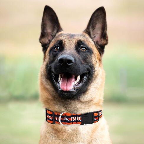 Pets First NFL San Francisco 49ers Licensed PET COLLAR, Large - Heavy-Duty, Strong, and Durable Dog Collar. Available in 31 Football Teams and 4 Sizes in Saudi Arabia