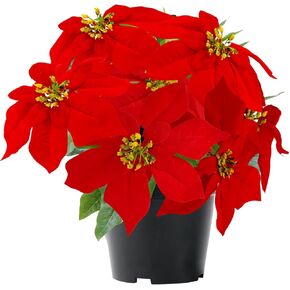 Poinsettia Plants Artificial 9 Heads 14 Inch Fake Poinsettias Christmas Flowers in Pot for Home Porch Office Indoor Outdoor Christmas Winter Decorations Red