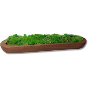 Moss Bowl Centerpiece Table Decor Moss Planter Preserved Moss Gift Wood Nature Bowl One Gift Wedding Centrepieces (20" Long) (BROWN-RE-20)