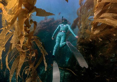 Slip Ins DiveSkins Zippered Full Body Diving Skin with Rash Guard, UV Protection for Surfing, Swimming, Diving, Snorkeling, Water Sports in Kuwait