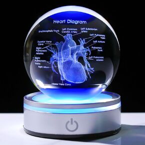 Enjinkail 3D Crystal Human Skeleton Anatomy Model Medical Decor Gifts for Doctor, Laser Etched Science Biology Figurine Paperweight Psychology Graduation Gifts for Medical Students with LED Base