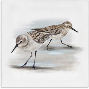 Stupell Industries Sandpiper Pair on Sandy Beach Small Nautical Birds, Designed by Studio Q Gray Framed Wall Art, 24x24
