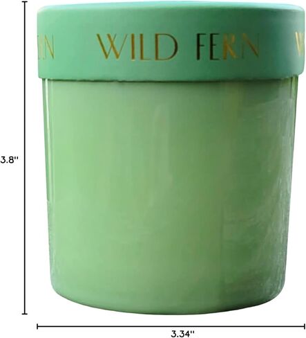 شركة باديواكس فايرفلاي كاندل كو. شموع معطرة مع مزيج شمع الصويا وجرة زجاجية قابلة لإعادة الاستخدام للعطور المنزلية والعلاج العطري - 7 أونصة، خشب البتولا المملح in Kuwait