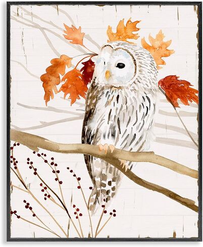 Stupell Industries Owl in Fall Forest Animal Watercolor Painting Black Framed Wall Art, 11x14, Design by Artist Victoria Borges in Saudi Arabia