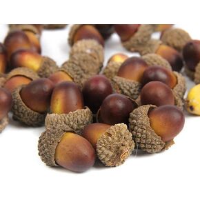 SEWACC 60pcs Artificial Acorns Lifelike Simulation Natural Caps Home Kitchen Decor Crafting Autumn Thanksgiving Decorations