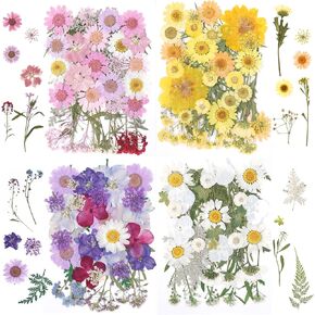 152pcs Dried Real Flowers for DIY Art Crafts, Pressed Dry for Resin Jewelry Making Mixed Colorful Daisy Herbs Kit for Scrapbooking Candle Soap Making Nails Décor Phone Case (Yellow)