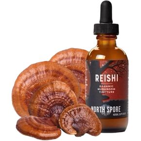 North Spore Reishi Mushroom Extract Tincture | Liquid Wellness Drops for Focus, Calm, Immune Functions | High Potency Organic Ganoderma lucidum, 100% Fruiting Bodies | Non-GMO, Vegan - 2oz