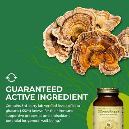HealthForce SuperFoods MycoForce - Capsules - 120 Vegan Capsules in Saudi Arabia