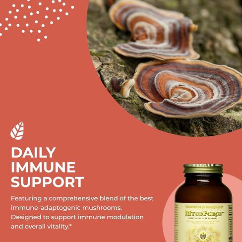 HealthForce SuperFoods MycoForce - Capsules - 120 Vegan Capsules in Kuwait