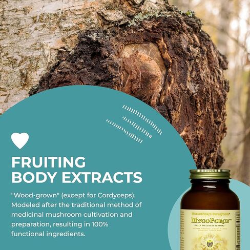 HealthForce SuperFoods MycoForce - Capsules - 120 Vegan Capsules in Kuwait