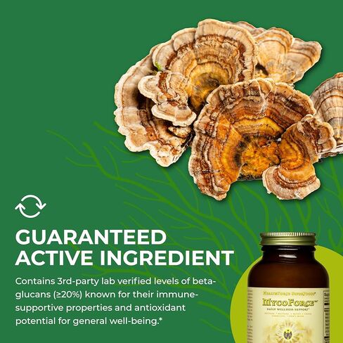 HealthForce SuperFoods MycoForce - Capsules - 120 Vegan Capsules in Kuwait