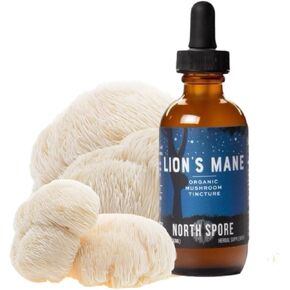 North Spore 4 oz. Organic Lion's Mane Mushroom Tincture