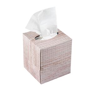 Restaurantware - Clean Tek Professional 4.3 x 4.3 x 5 Inch Facial Tissue Cube, 1 Cube Tissue Box - 2-Ply Construction, 90 Tissue Sheets, Paper Facial Tissue Box, Perforated Top, Ideal For Cafes