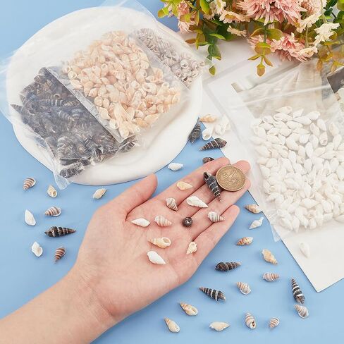 PH PandaHall 480Pcs Small Sea Shell, 4 Style No Hole Spiral Shells Beads Undrilled Natural Seashell Charms Beads for Fish Tank Vase Filler Candle Making Jewelry Making Beach Theme Party Wedding Decor in Saudi Arabia