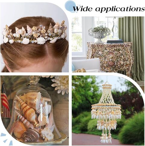 PH PandaHall 480Pcs Small Sea Shell, 4 Style No Hole Spiral Shells Beads Undrilled Natural Seashell Charms Beads for Fish Tank Vase Filler Candle Making Jewelry Making Beach Theme Party Wedding Decor in Saudi Arabia