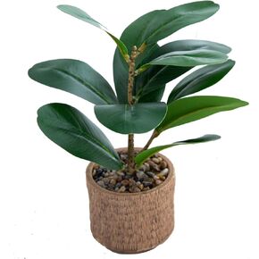 Indoor Fake Olive Plant 12 inch Faux Silk Plant in Black Rustic Planter Medium Size Perfect Artificial Olive Plant with Realistic Trunk and Lifelike Fruits for Home and Office Decor