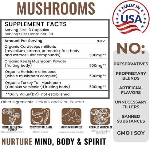 Mushroom Supplement - Lion's Mane, Cordyceps, Reishi, Turkey Tail - Nootropic Coffee Powder for Memory, Focus, Immune Support - 90 Servings, Organic Mushroom Complex, Vegan,Capsule Box Included in Saudi Arabia