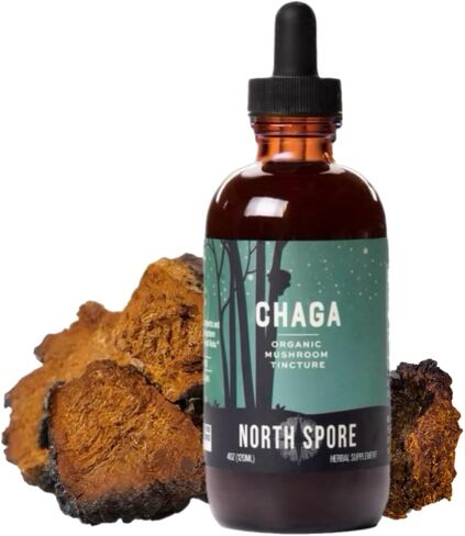North Spore Chaga Mushroom Tincture | Energy & Wellness Boosting Supplement Drops | Adaptogenic Superfood | Dual Extract Organic Blend, 100% Fruiting Bodies | Non-GMO, Vegan - 2oz in Saudi Arabia