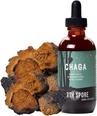 North Spore Chaga Mushroom Tincture | Energy & Wellness Boosting Supplement Drops | Adaptogenic Superfood | Dual Extract Organic Blend, 100% Fruiting Bodies | Non-GMO, Vegan - 2oz in Saudi Arabia