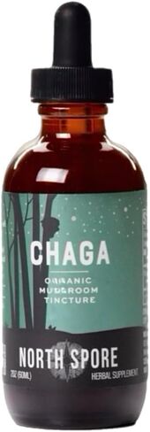 North Spore Chaga Mushroom Tincture | Energy & Wellness Boosting Supplement Drops | Adaptogenic Superfood | Dual Extract Organic Blend, 100% Fruiting Bodies | Non-GMO, Vegan - 2oz in Saudi Arabia