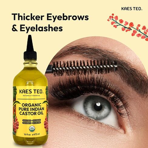 Organic Castor Oil for Eyelashes, Eyebrows, Skin Care, Nail Care, Scalp Treatment, Castor Oil Packs, Hair Growth Oil, Cold-Pressed, USDA Certified, Hexane-Free (2 Fl Oz, Original) in Kuwait
