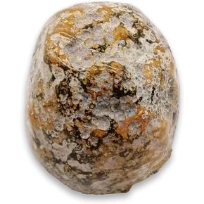 Natural Polished Brazilian Agate Rough Rock 2 Pc - Irregular Shaped Healing Crystal Stone for tumbling, Energy, Meditation, and Decor Collection Gifts Decor