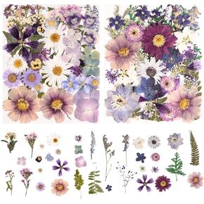 6 Pack 150PCS Real Pressed Dried Flowers Dry Leaves Craft Kit - Natural Dried Flowers for DIY Crafts, Resin Jewelry, Cards, Soap, CandleMaking, Nail Art, and Scrapbooking (Colorful)