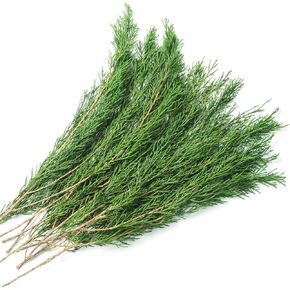 Preserved Real Pine Leaves Branches, 17'' Natural Pine Needles Green Plants, 3.5OZ Greenery Pine Twigs Stems, Evergreen Pine Picks for Christmas Garland Wreath Home Wedding Decor Floral Arrangements