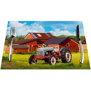 Ground Field Placemats Set of 4, Cute Soccer Ground Field Green Placemats Heat Resistant for Dining Table Non-Slip 18x12 Inches
