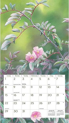 LANG Hummingbirds 2025 Wall Calendar (25991001918) in Saudi Arabia