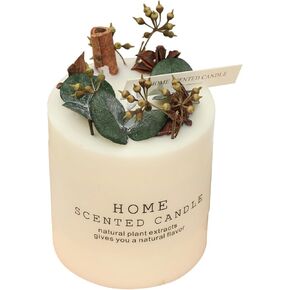 Home Fragrance Scented Candles for Home - 5% Essential Oil Aromatherapy Candle Stress Relief Gifts for Women, Scented Candles for Home Decor, Gift for Wedding,Christmas,Party (Cinnamon Orange)