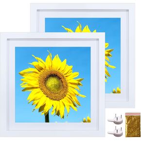 2 Pack 12x12 Picture Frame Mat to 10x10 Solid Wood Diamond Art Painting Frames 30x30cm Display Pictures 10 x 10 with Mat or 12 x 12 Without Mat, Square Poster Frame 12x12 Photo Wall Frame Set - White