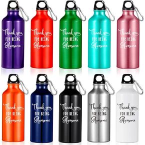 Amyhill 10 Pcs Employee Appreciation Gifts Thank You Water Bottle 20oz Best Team Ever Aluminum Water Bottle Lightweight Leakproof Water Bottle with Lid for Gym Camping Hiking(Stylish Style)