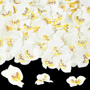 Janinka 80 Pcs Artificial Orchid Phalaenopsis Silk Flowers False Orchid Fake Orchids Flowers Butterfly Orchid Heads Flowers for Crafts Orchid Wedding Decor Bouquet Bridal (Dark Purple)