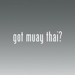 Got Muay Thai Logo Sticker Vinyl Decals- Die Cut Decal Bumper Sticker for Windows, Cars, Trucks, Laptops, Etc.