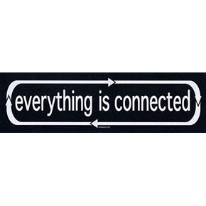 Everything Is Connected - Bumper Sticker / Decal (9" X 2.5")