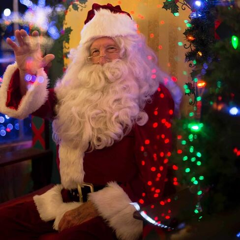 Minetom 25 Pack LED C9 Multicolor Replacement Christmas Light Bulbs, Commercial Grade Dimmable Holiday Bulbs, Strawberry Bulbs, Fits in C9/E17 Base Sockets (25 Pack, Multi-Colored) in Kuwait