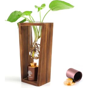 Plant Urn with Hydroponics Glass Vase, Small Urns for Human Ashes Keepsake, Memorial Keepsake Urn for Human Ashes, Mini Urns for Human Ashes Keepsake, Small Urn for Ashes, Wooden Desk Decor
