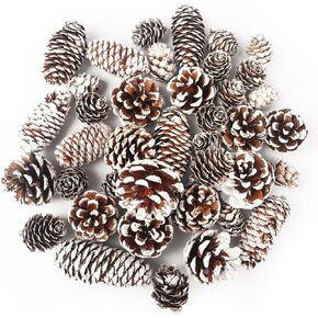 DomeStar 40PCS Snow Pine Cones for Crafts, Natural Pine Cones Christmas Pine Cone Ornaments for Xmas Tree Wreath Winter Holiday Hanging Ornaments
